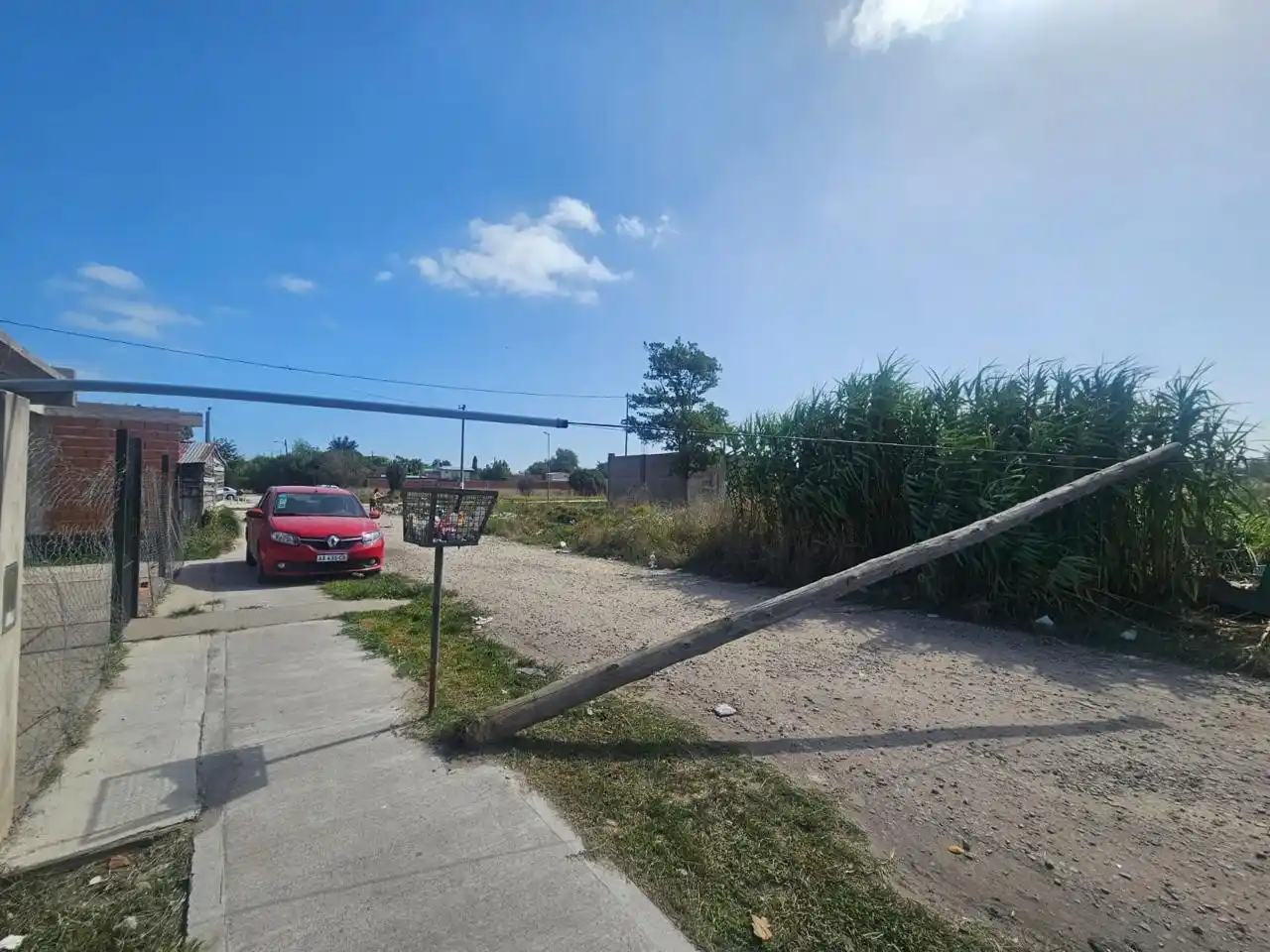El temporal de viento volteó postes en barrios como Félix U. Camet y Las Dalias.