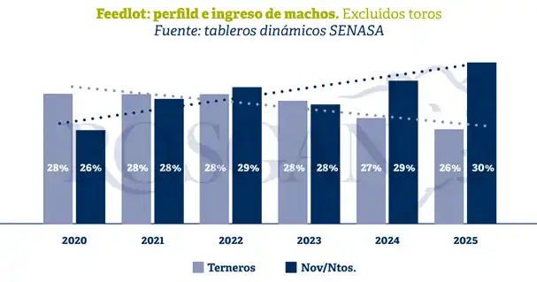 cuadro terneros rosgan recria 3
