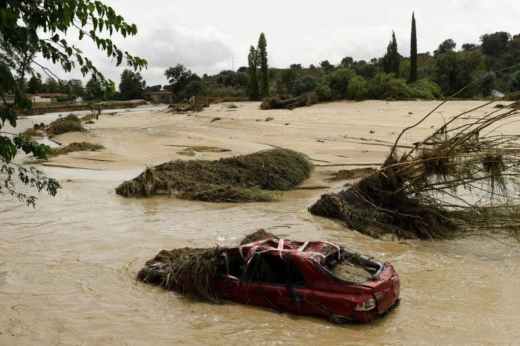 ¡UN NIÑO SE SALVA AL AGARRARSE DE UN ÁRBOL! Lluvias en España dejan 2 muertos y tres desaparecidos