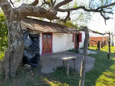 Entre ñandubayes y memorias: el alma rural del almacén El Espinillo