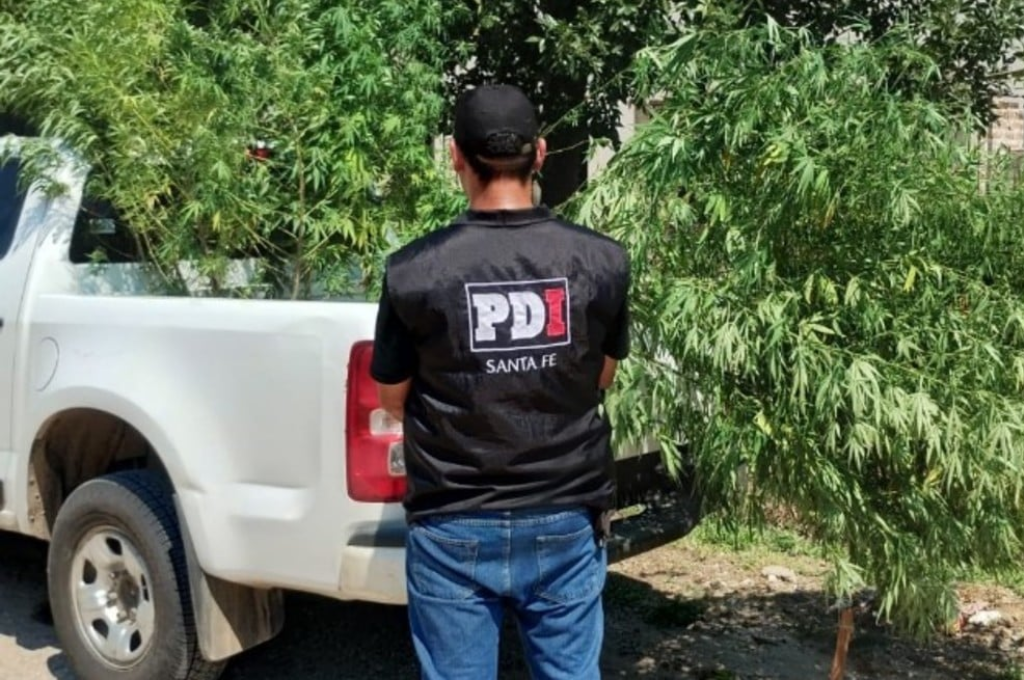 pdi