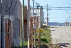 Se dio inicio al programa "Un árbol para tu vereda"