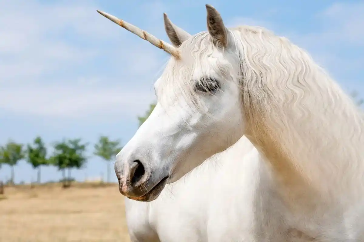 ¡UNA CUCHITURA! Niña solicita un permiso para tener un UNICORNIO en su casa y se lo otorgaron