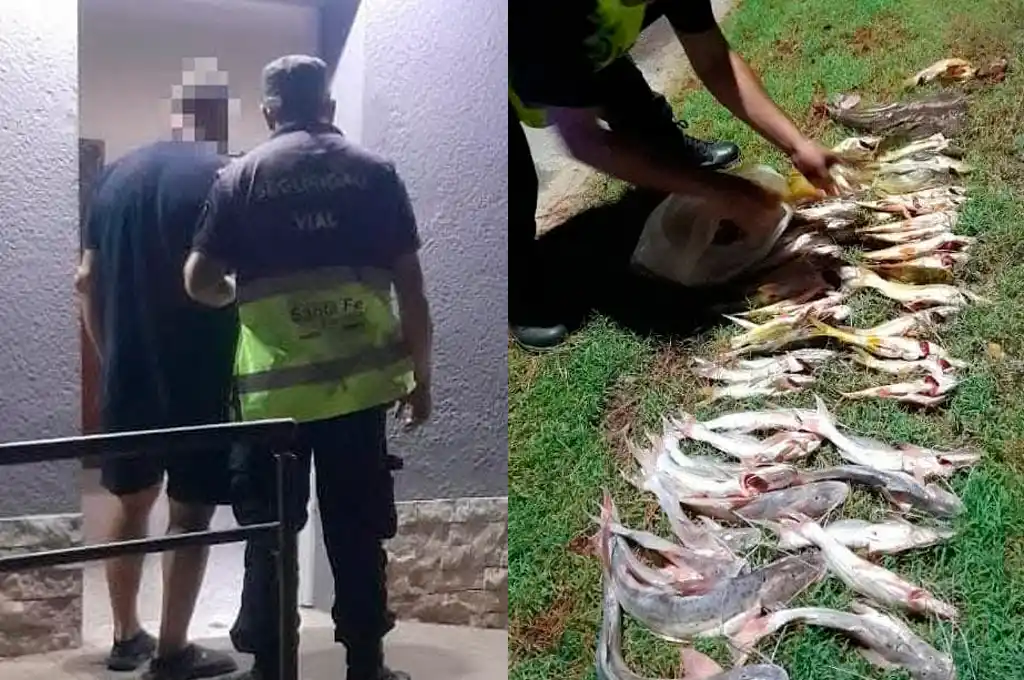 En operativos viales secuestraron más de 60 peces y un arma de fuego