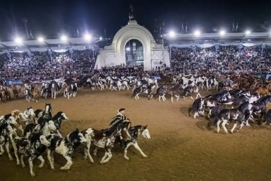 La Exposición Rural de Palermo cerró con un balance de más de 1,3 millones de visitantes