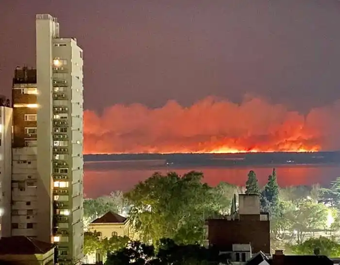 La Mesa de Enlace pide  �Ssincerar el debate⬝ sobre los incendios en el Delta