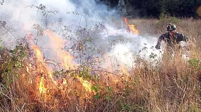 Incendio forestal en Catamarca ya consumió más de 1200 hectáreas