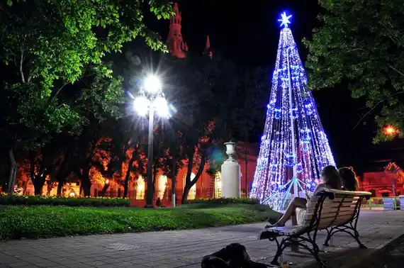 Hoy se realiza un Concierto de Navidad