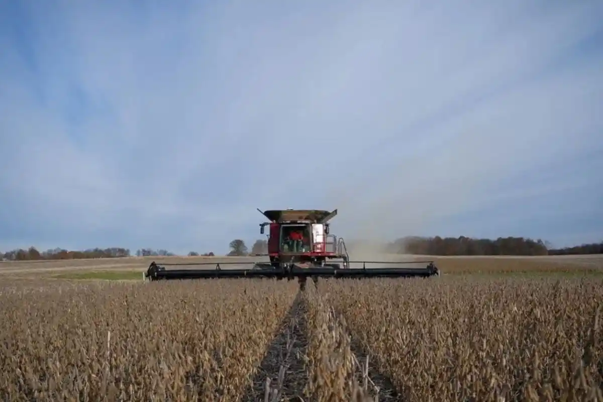 La producción recuperaría más de 50 millones de toneladas (Mt), "con exportaciones de granos que se duplicarían respecto del ciclo anterior".