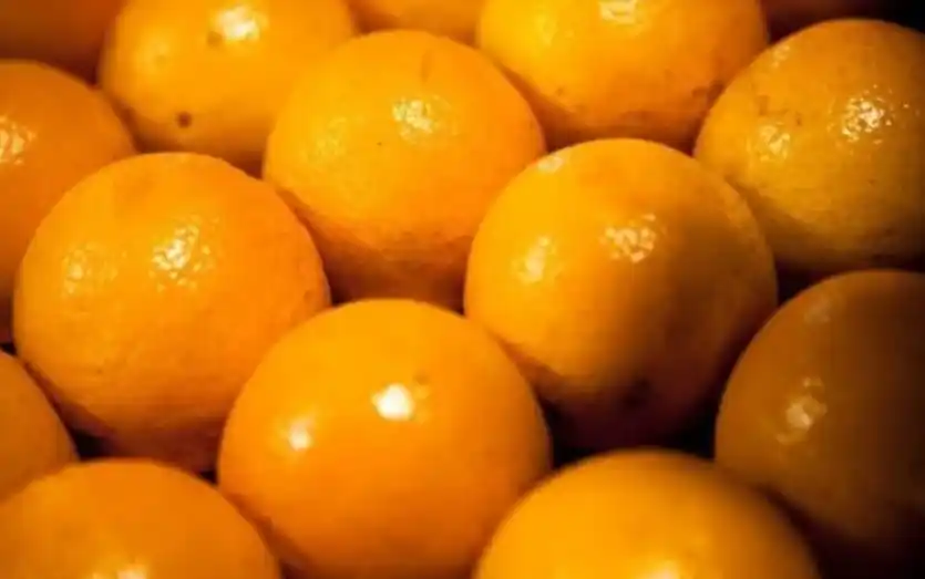 Argentina volverá a exportar cítricos a la Unión Europea por primera vez en dos décadas