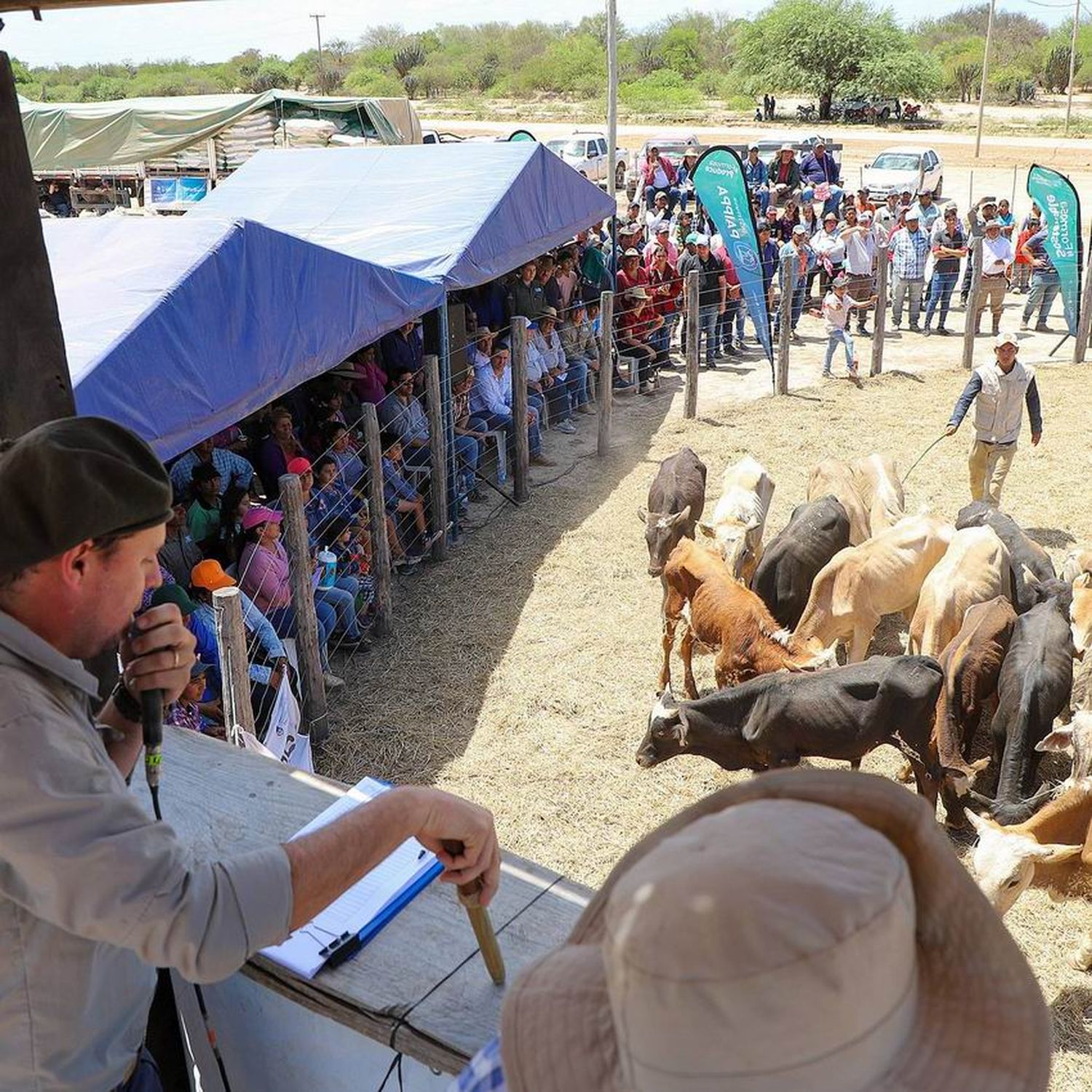 Consignataria y productores llegaron a un
acuerdo de precios en el remate de El Chorro