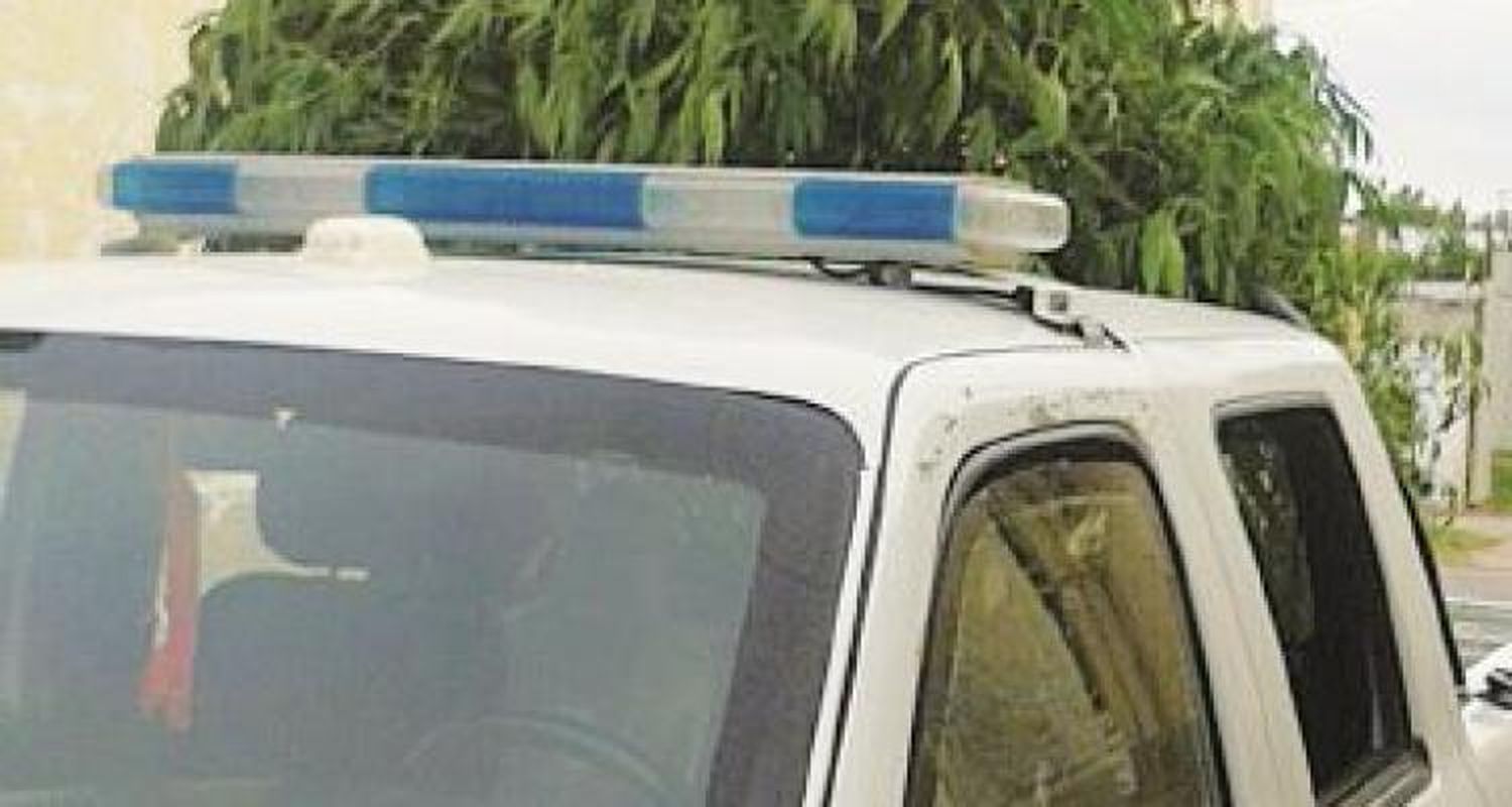 Secuestran plantas de marihuana