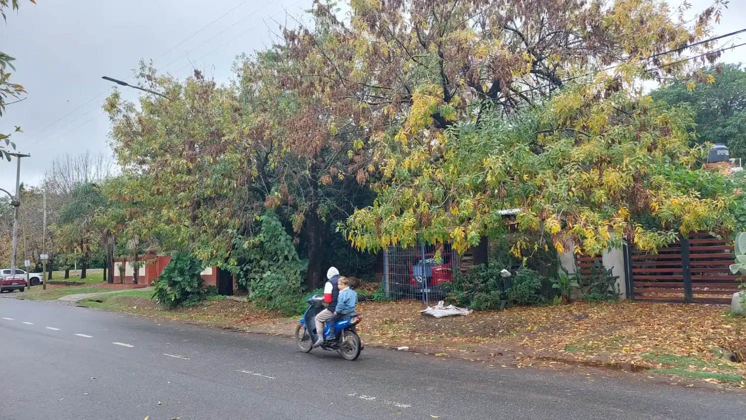 La Municipalidad apeló el fallo que hizo perder terrenos costeros a manos de particulares
