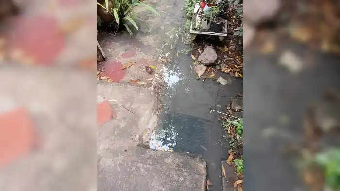Barrio Banfield con cloacas tapadas