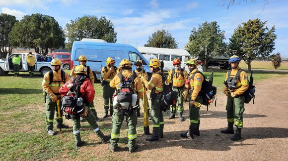 Incendios en islas: “Pudimos ver que son intencionales”, dijo Ramón Salazar