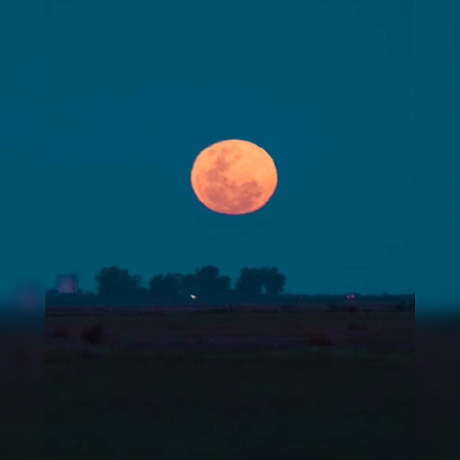 Lune llena de Gusano - 1