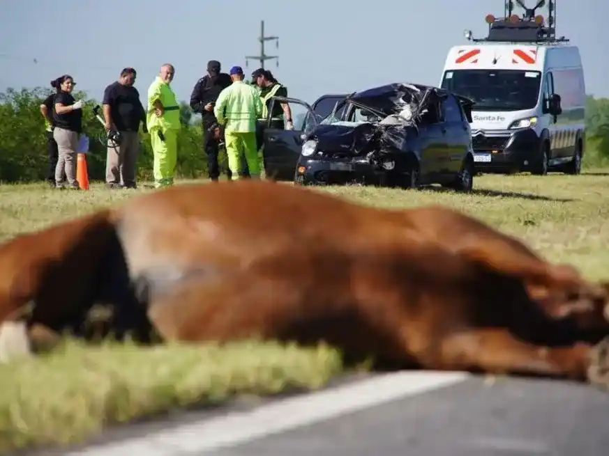 Accidente en la Autopista Rosario-Santa Fe. Foto: Fernando Nicola.