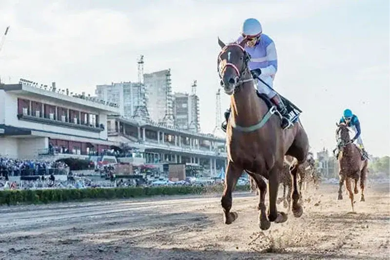 Sábado 31: Actividad Hipódromo de Palermo