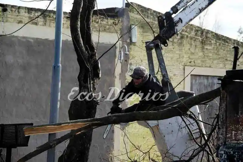 LOBERIA: Siguen trabajos de poda del arbolado urbano en Lobería