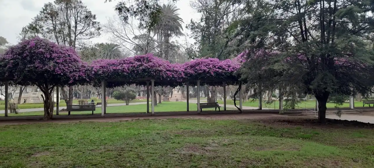 Tiempo en Gualeguay: anuncian hasta 27° este jueves