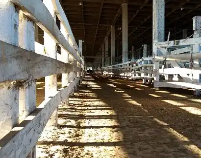 José Colombatto: "El gobierno nacional vuelve a tropezar con la misma piedra"