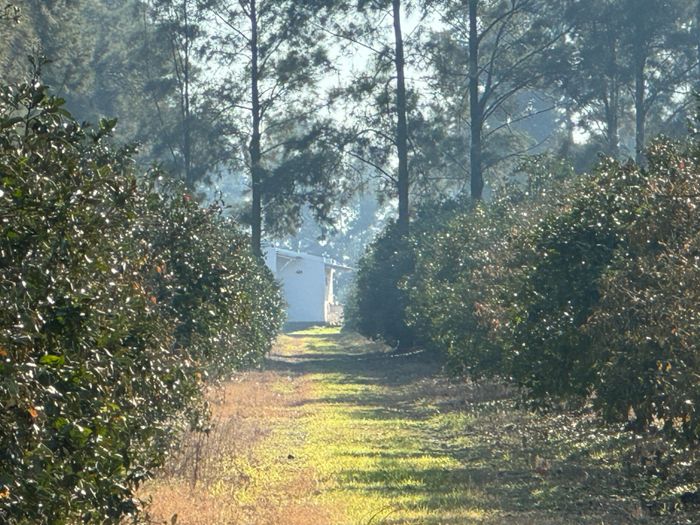 Campo Marcel Xavier