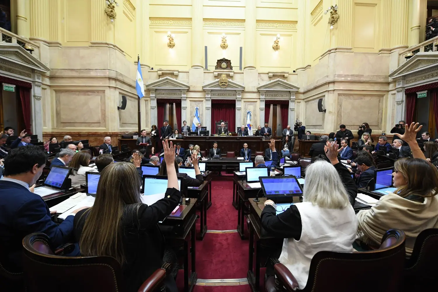 Zona Fría: cómo votaron todos los senadores y qué hicieron los tres representantes por la Provincia