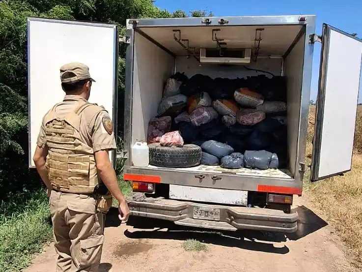 Secuestran cerca de una tonelada de carne y detienen a cuatro personas por faenamiento y transporte ilegal