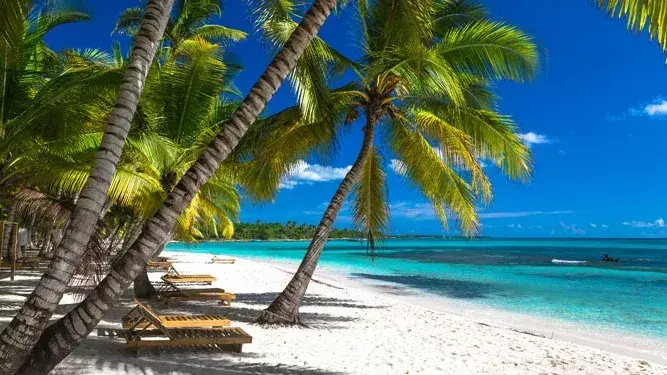 Bayahíbe: donde el azul del mar y el verde de las palmeras cobran vida