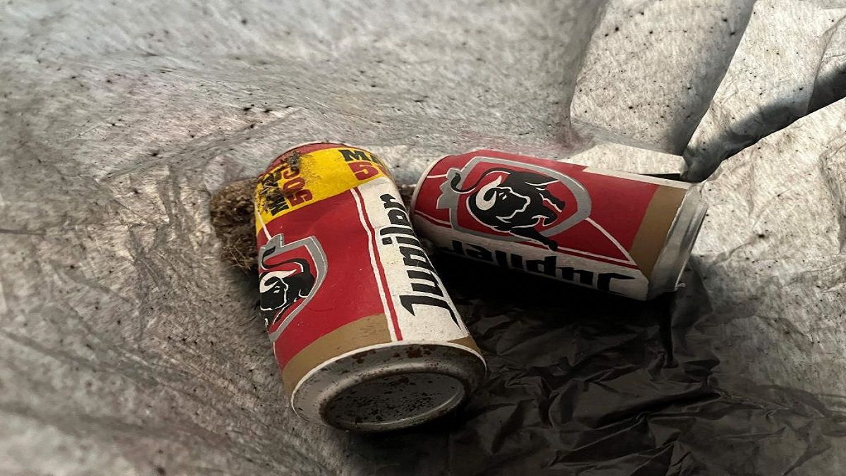 LA BOTARON a la BASURA y era una OBRA de ARTE: «el pelón» de un museo neerlandés