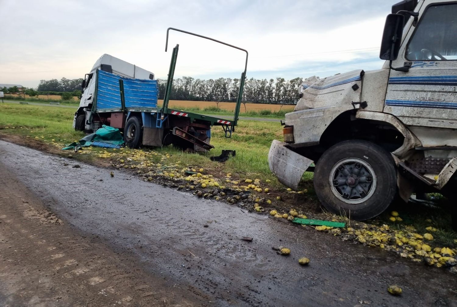 Chocaron tres camiones en ruta 9