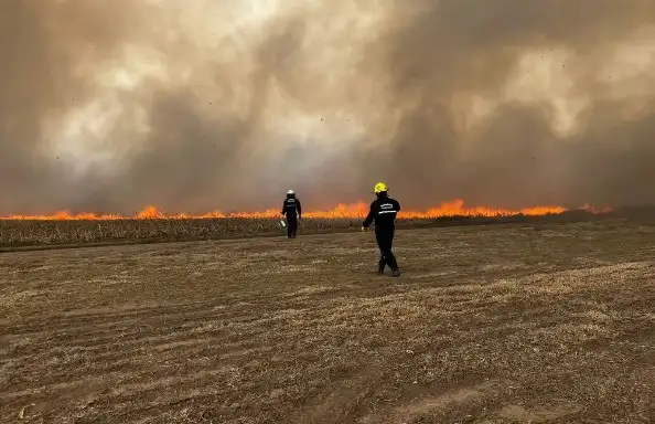 Las llamas se expandieron por la presencia de los fuertes vientos.