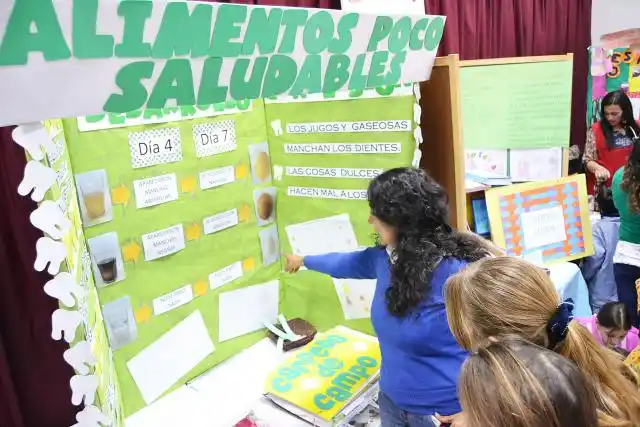 Expectativas en la organización de “Escuelas en Feria”

