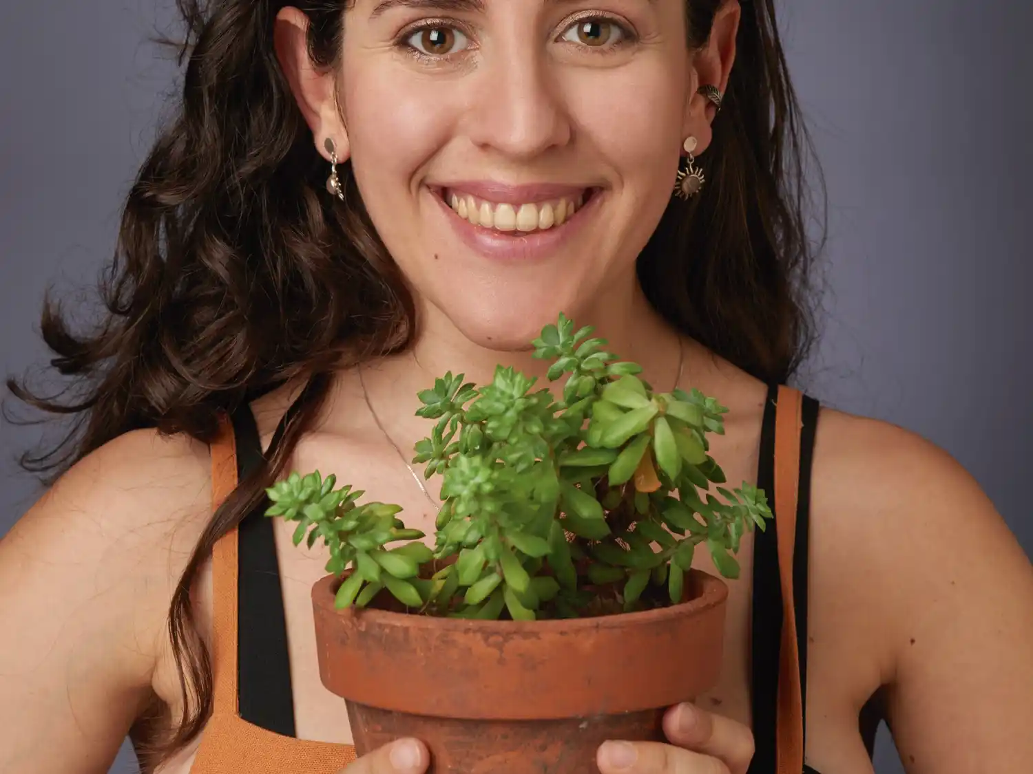 @ecointensa