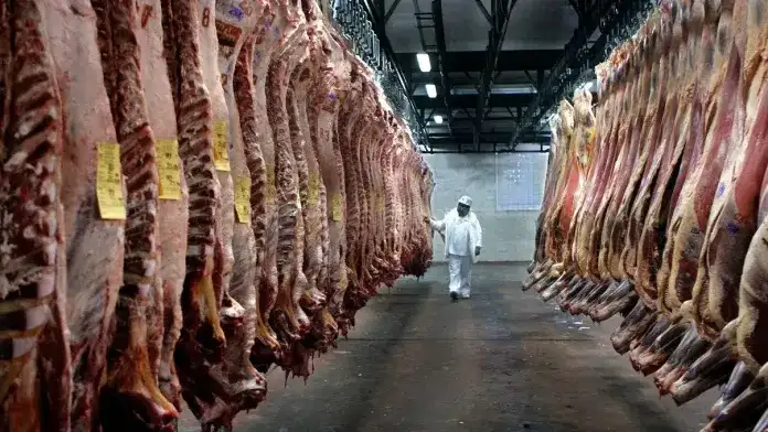 Un conocido frigorífico declaró la quiebra y hay 50 empleos en riesgo