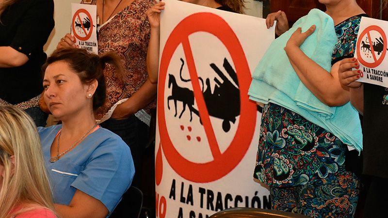 Cuál es el espíritu de la ordenanza sobre tracción a sangre que sancionó el Concejo Deliberante