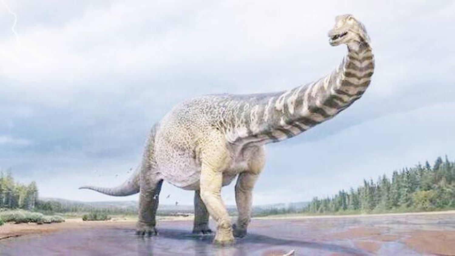 Descubren los restos del ��Titán del sur�", uno de los dinosaurios más grandes del mundo