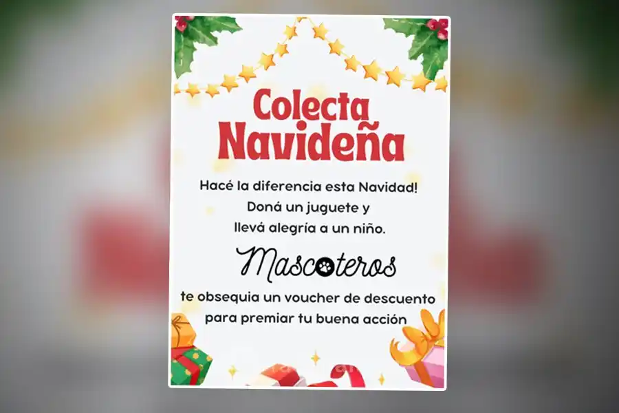 Hacé la diferencia esta Navidad: organizan una colecta de juguetes para los más chicos