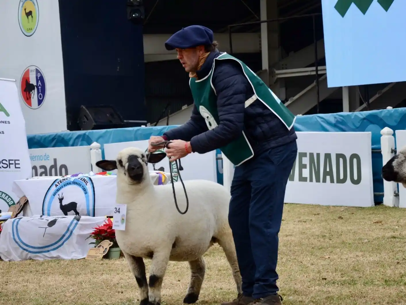 ExpoVenado dio un lugar de relevancia a la Asociación Argentina de Criadores de Hampshire Down. Foto: MVT