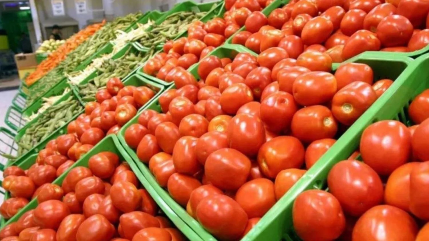 ¿Cuánto cuesta hacer una ensalada para una familia tipo de 5 personas?