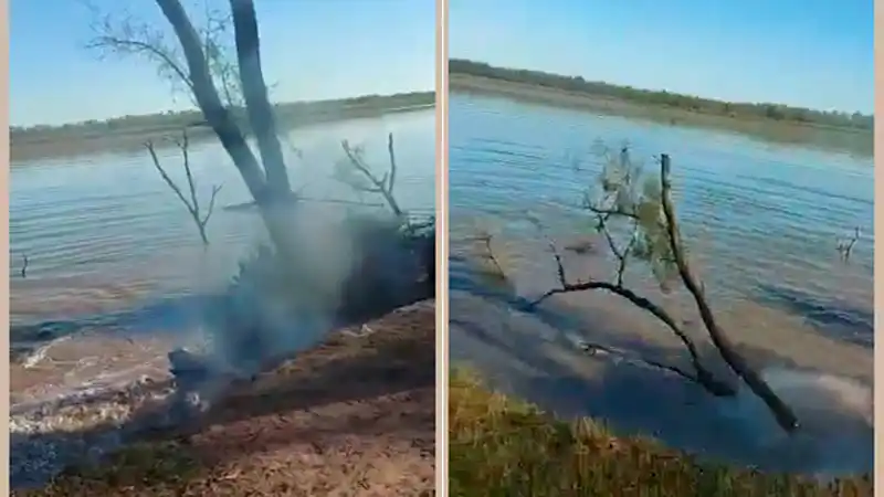Se desmoronó toda una barranca y dos árboles cayeron al río Paraná