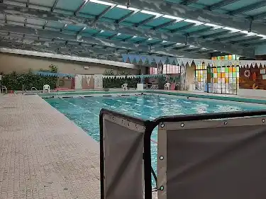 Natatorio UP se prepara para el “Desafío Americano”