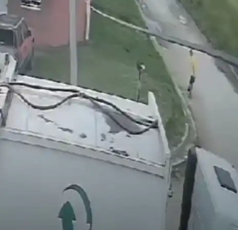 Quequén: recolectores atropellan a una perra y la arrojan al camión como si fuera basura