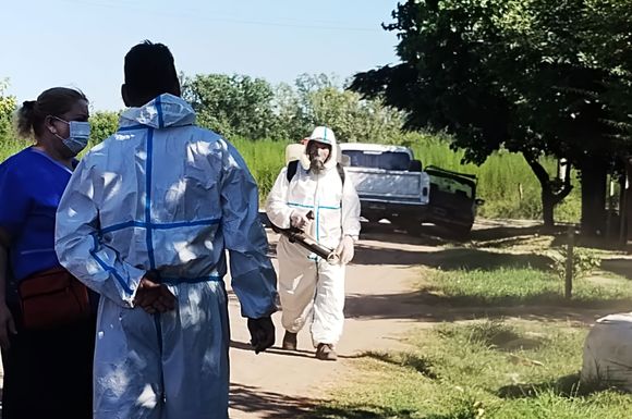 Dengue: San Pedro, entre los municipios bonaerenses afectados por el brote