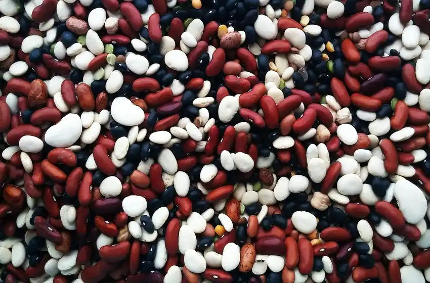 Argentina: entre los países que menos legumbres consume