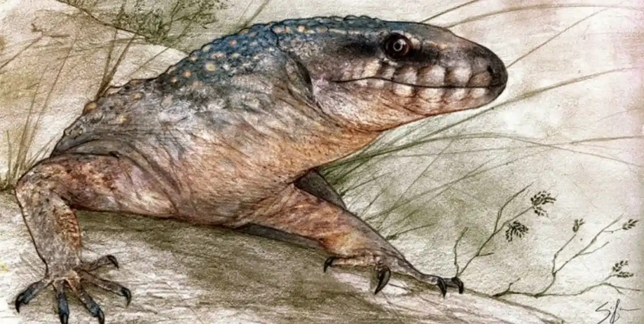 Reconstrucción de Paleoteius. Créditos Sebastián Rozadilla.