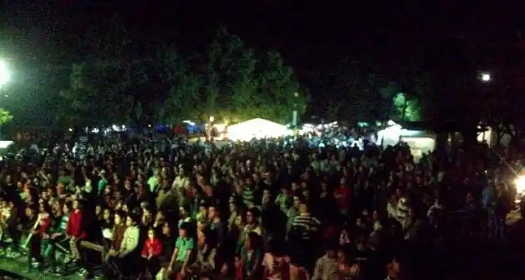 Fiesta de Las Colectividades: Gran concurrencia de público