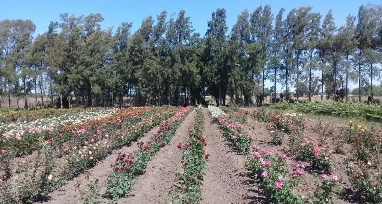 Llega el Ministro de Desarrollo Agrario a recorrer viveros y al INTA
