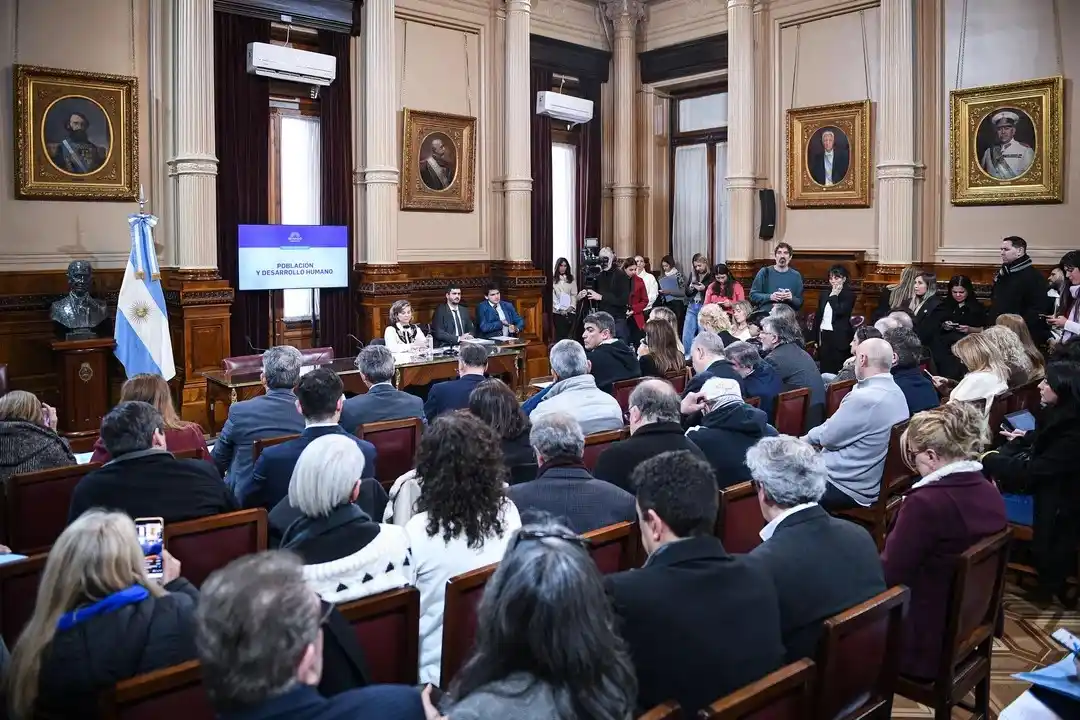 Gobierno sufre traspié en el Senado por ley de discapacidad con apoyo opositor
