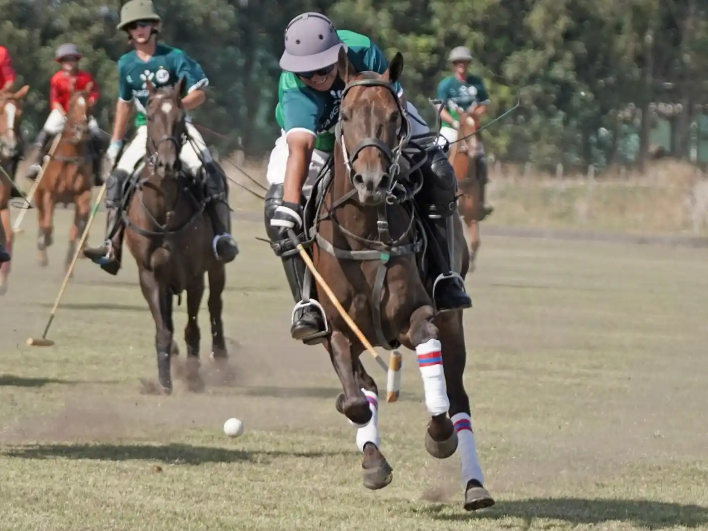 Torneo "Las Lechuzas" - Polo